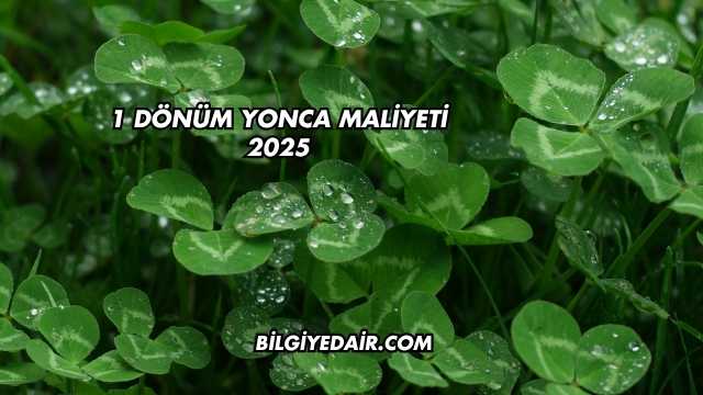 1 Dönüm Yonca Maliyeti 2025