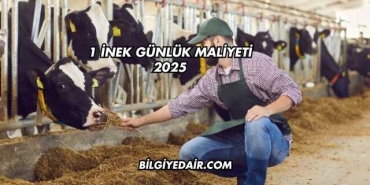 1 İnek Günlük Maliyeti 2025