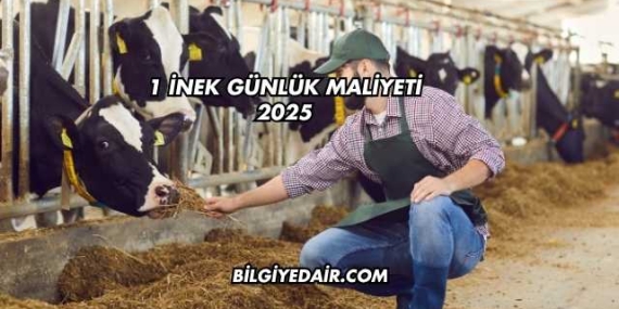 1 İnek Günlük Maliyeti 2025