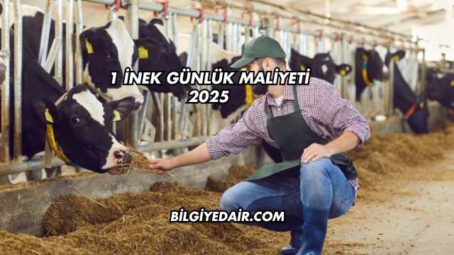 1 İnek Günlük Maliyeti 2025