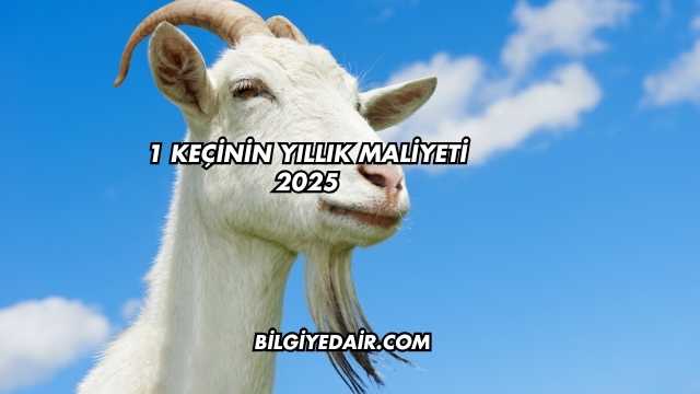 1 Keçinin Yıllık Maliyeti 2025