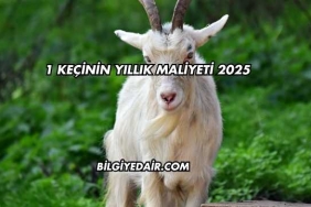 1 Keçinin Yıllık Maliyeti 2025