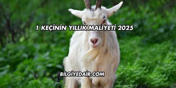 1 Keçinin Yıllık Maliyeti 2025