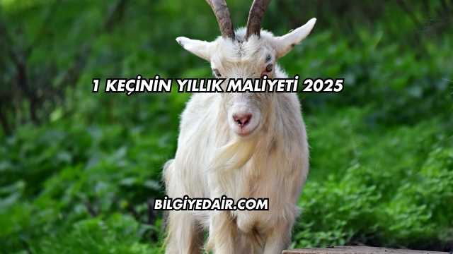 1 Keçinin Yıllık Maliyeti 2025