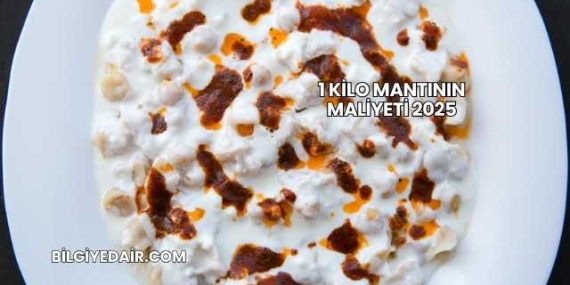 1 Kilo Mantının Maliyeti 2025