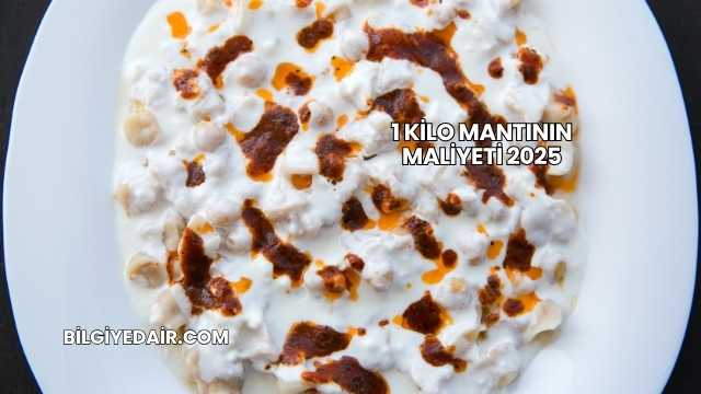 1 Kilo Mantının Maliyeti 2025