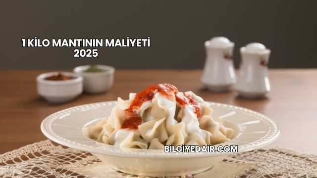 1 Kilo Mantının Maliyeti 2025
