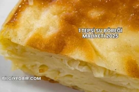 1 Tepsi Su Böreği Maliyeti 2025