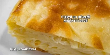 1 Tepsi Su Böreği Maliyeti 2025