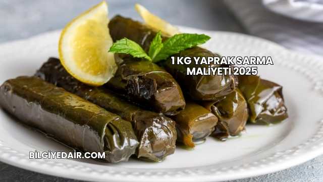 1 kg Yaprak Sarma Maliyeti 2025