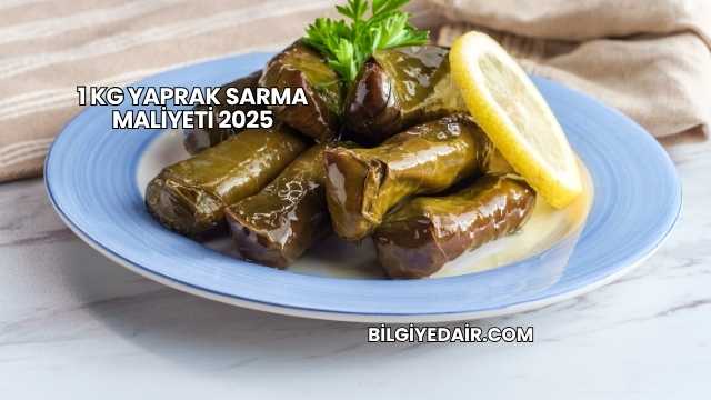 1 kg Yaprak Sarma Maliyeti 2025