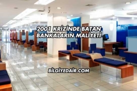 2001 Krizinde Batan Bankaların Maliyeti