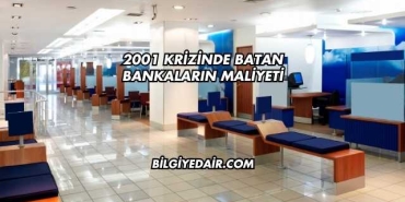 2001 Krizinde Batan Bankaların Maliyeti