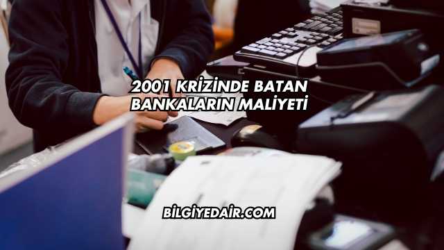 2001 Krizinde Batan Bankaların Maliyeti