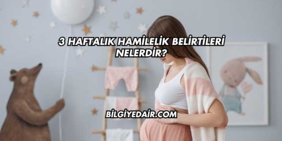3 Haftalık Hamilelik Belirtileri Nelerdir?