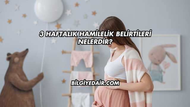 3 Haftalık Hamilelik Belirtileri Nelerdir?