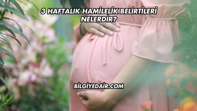 3 Haftalık Hamilelik Belirtileri Nelerdir?