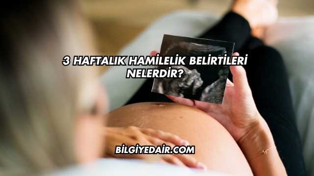 3 Haftalık Hamilelik Belirtileri Nelerdir?