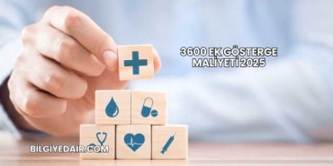 3600 Ek Gösterge Maliyeti 2025