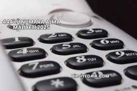 444'lü Numara Alma Maliyeti 2025