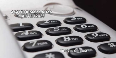 444'lü Numara Alma Maliyeti 2025