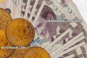 5 Liranın Maliyeti 2025