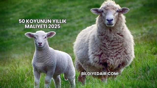 50 Koyunun Yıllık Maliyeti 2025