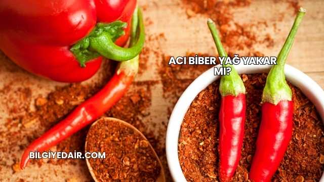 Acı Biber Yağ Yakar mı?