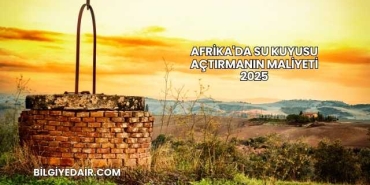 Afrika'da Su Kuyusu Açtırmanın Maliyeti 2025