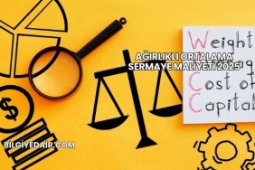Ağırlıklı Ortalama Sermaye Maliyeti 2025