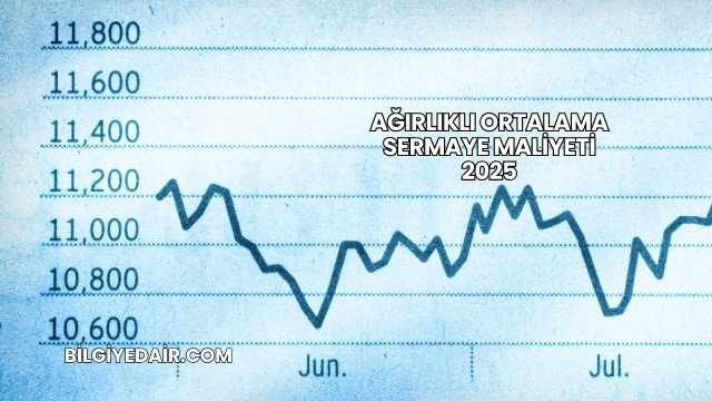 Ağırlıklı Ortalama Sermaye Maliyeti 2025