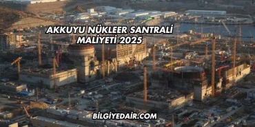 Akkuyu Nükleer Santrali Maliyeti 2025