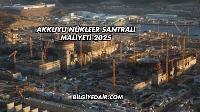 Akkuyu Nükleer Santrali Maliyeti 2025