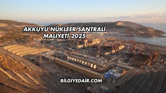 Akkuyu Nükleer Santrali Maliyeti 2025