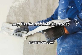 Alçı Üretim Tesisi Maliyeti 2025