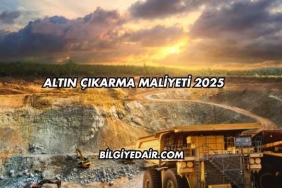Altın Çıkarma Maliyeti 2025