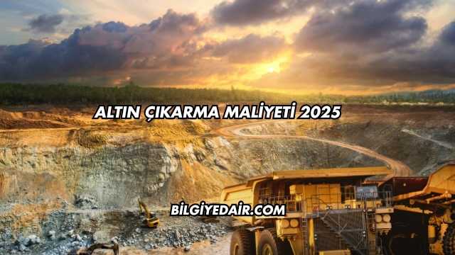 Altın Çıkarma Maliyeti 2025