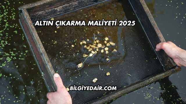 Altın Çıkarma Maliyeti 2025