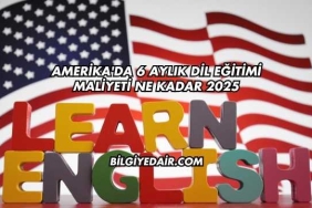 Amerika'da 6 Aylık Dil Eğitimi Maliyeti Ne Kadar 2025