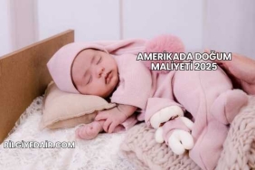 Amerikada Doğum Maliyeti 2025