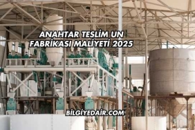 Anahtar Teslim Un Fabrikası Maliyeti 2025
