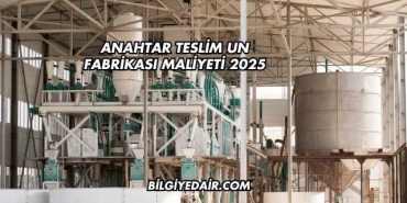 Anahtar Teslim Un Fabrikası Maliyeti 2025