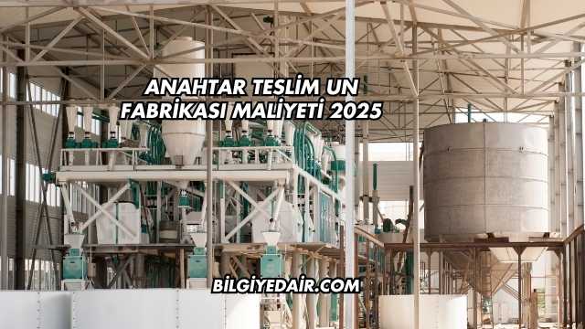 Anahtar Teslim Un Fabrikası Maliyeti 2025