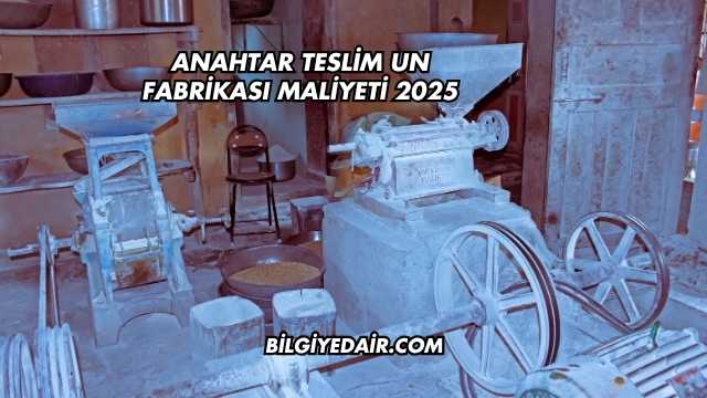 Anahtar Teslim Un Fabrikası Maliyeti 2025