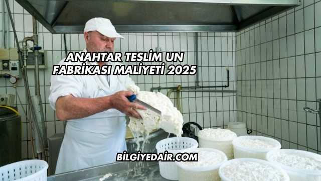 Anahtar Teslim Un Fabrikası Maliyeti 2025