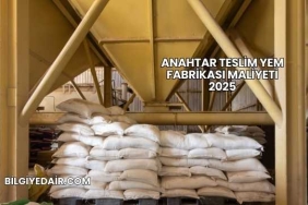 Anahtar Teslim Yem Fabrikası Maliyeti 2025