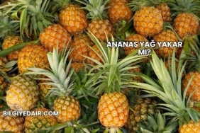 Ananas Yağ Yakar mı?