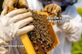 Arıcılık Yatırım Maliyeti 2025