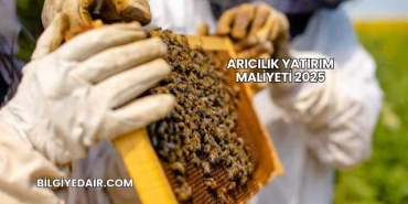 Arıcılık Yatırım Maliyeti 2025