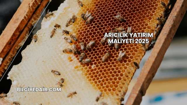Arıcılık Yatırım Maliyeti 2025